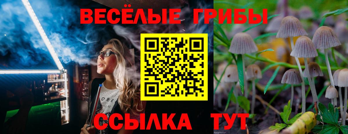 Псилоцибиновые грибы мицелий  Вход с VPN  Луховицы 